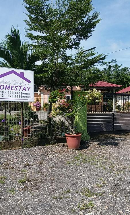Dhia Irdina Homestay Paya Rewak Buitenkant foto