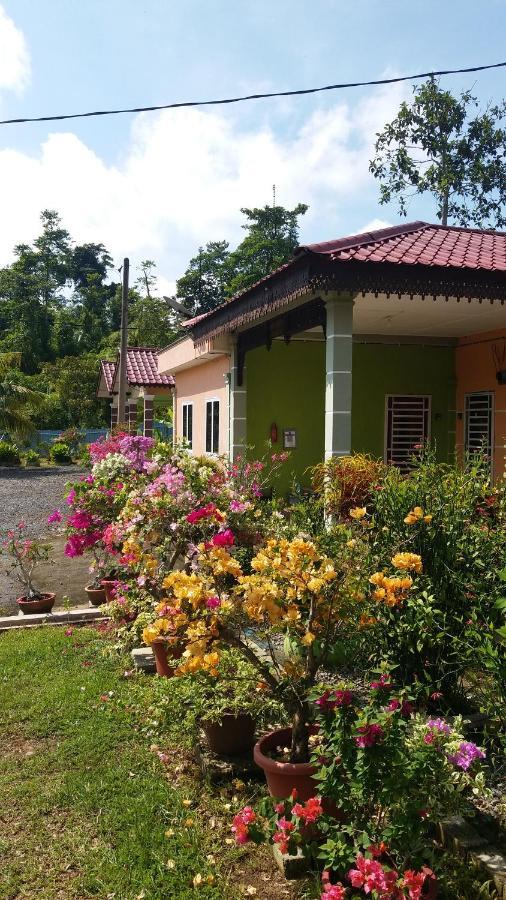Dhia Irdina Homestay Paya Rewak Buitenkant foto