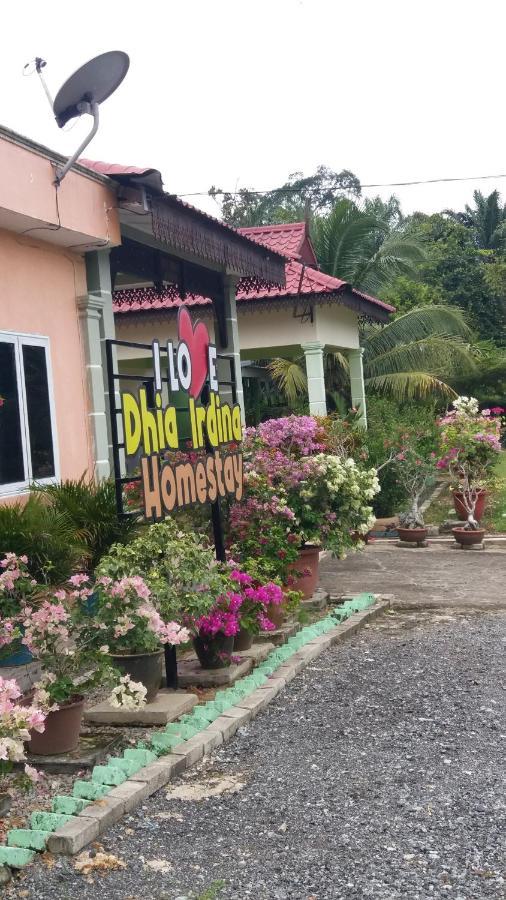 Dhia Irdina Homestay Paya Rewak Buitenkant foto